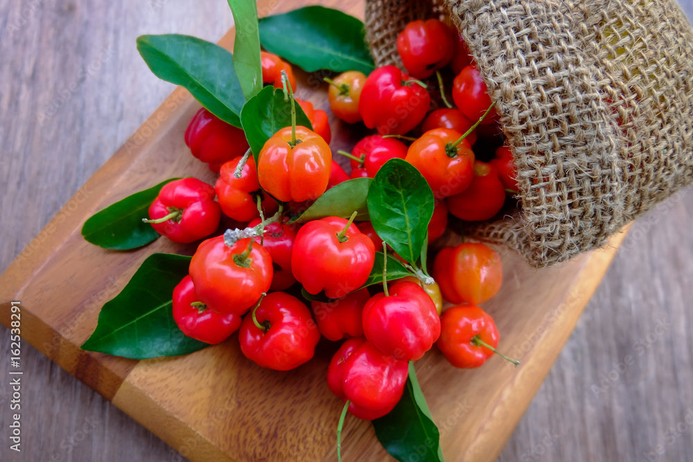 Polpa de Frutas