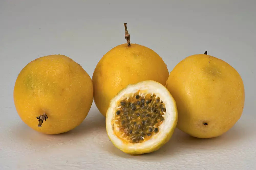 Polpa de Frutas