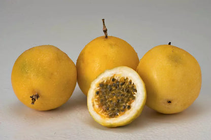 Polpa de Frutas